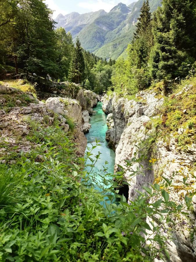 Beti Blu, Kaninska Vas Bovec Buitenkant foto