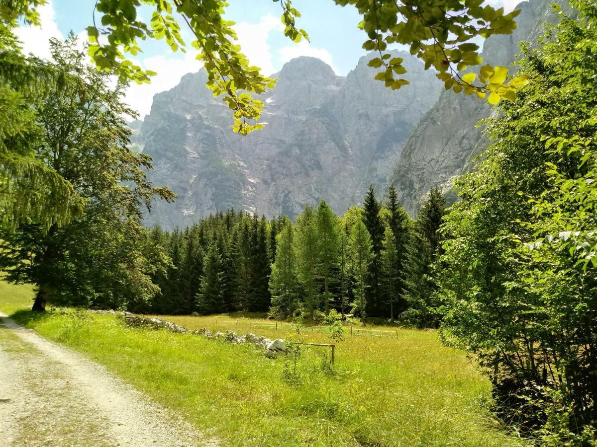 Beti Blu, Kaninska Vas Bovec Buitenkant foto